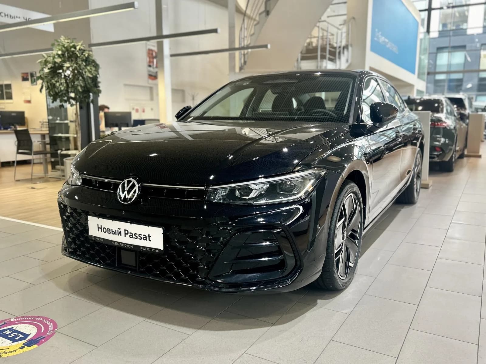 Passat Pro Star Dragon Lord